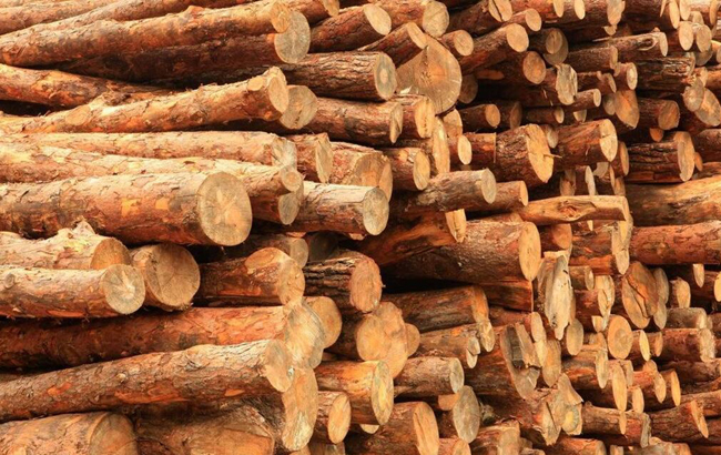 实木餐桌椅材质说明